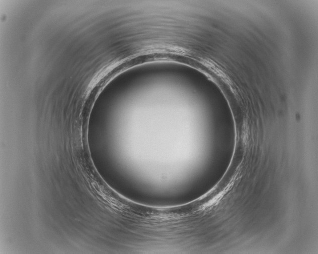 X0000060760877200511141228