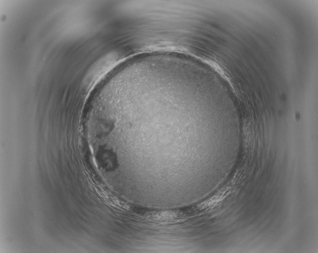 X0000060760879200511141228