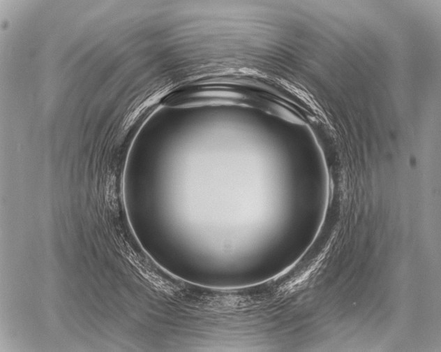 X0000060760881200511141228