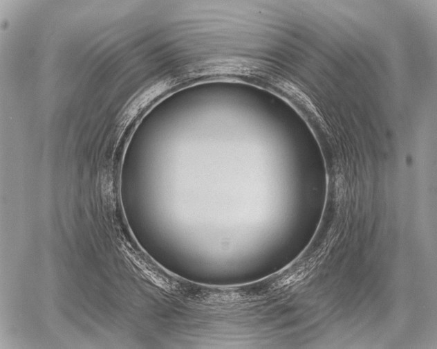 X0000060760882200511141228