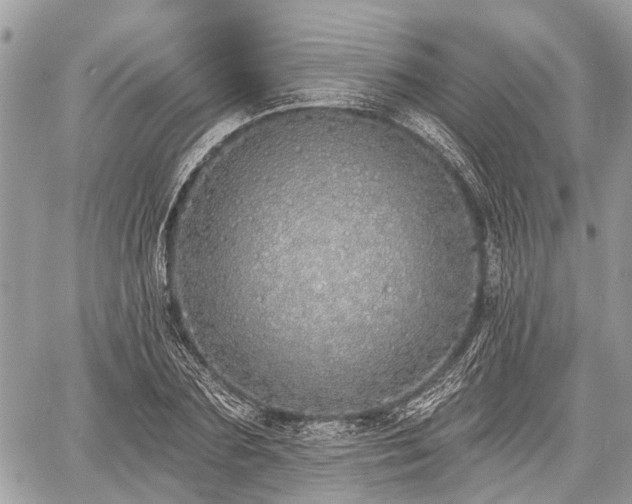 X0000060760883200511141228