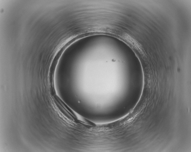 X0000060760884200511141228