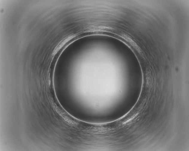 X0000060760885200511141228