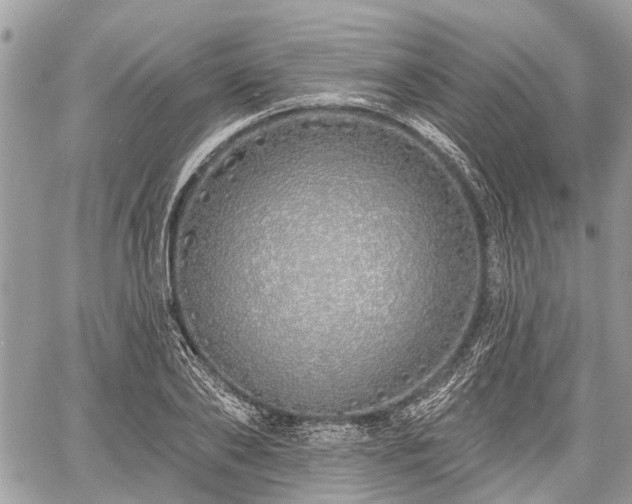 X0000060760886200511141228