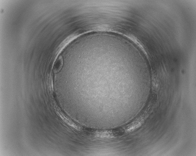 X0000060760887200511141228