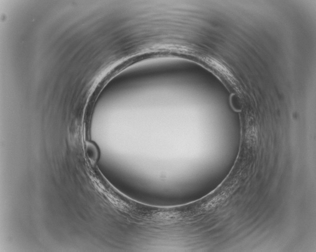 X0000060760888200511141228