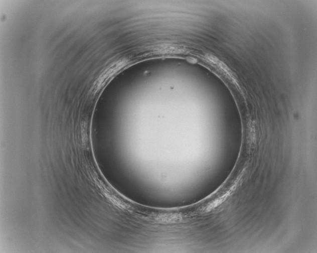 X0000060760889200511141228