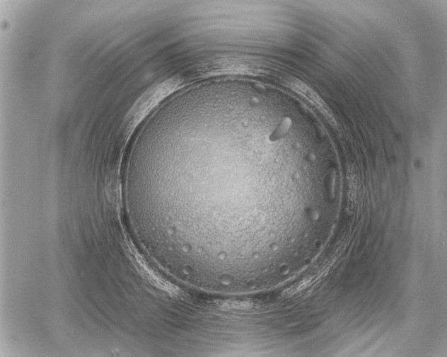 X0000060760890200511141228