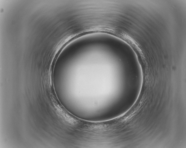 X0000060760892200511141228