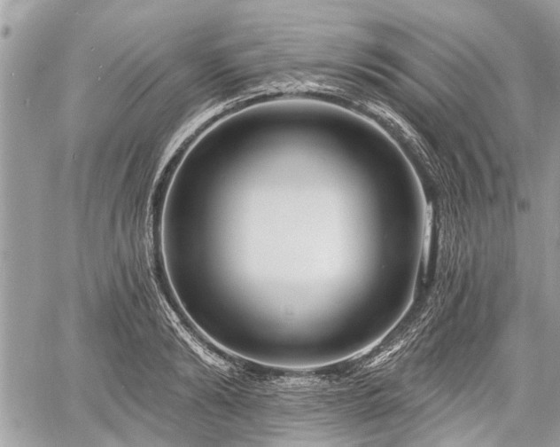 X0000060760894200511141228