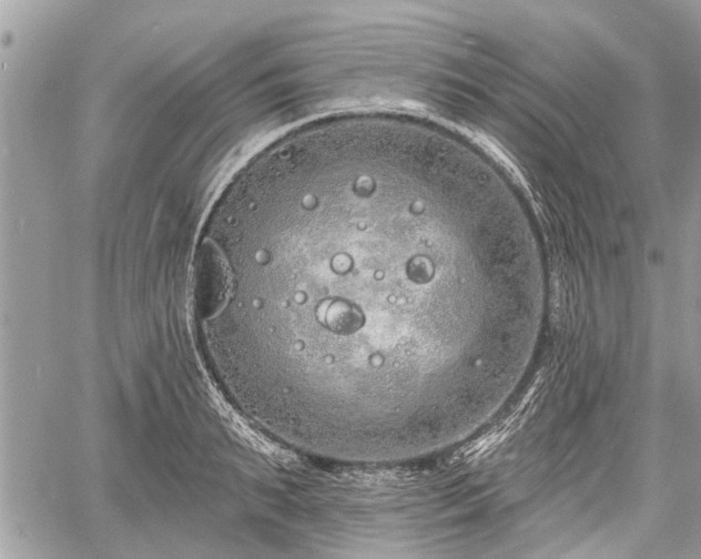 X0000060760895200511141228