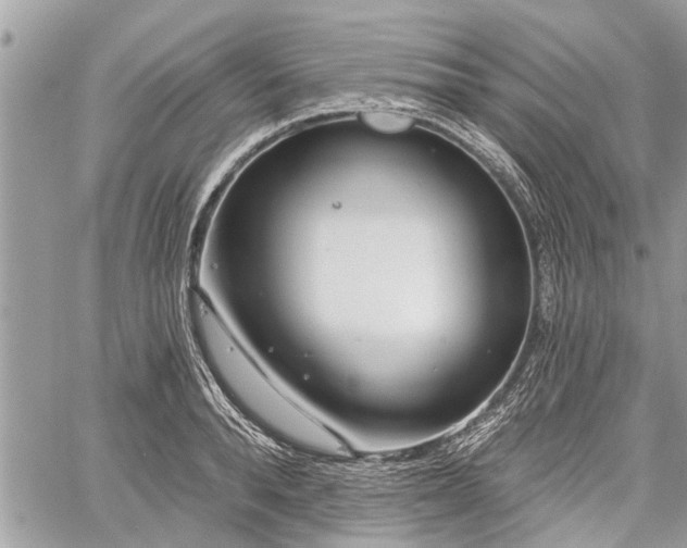 X0000060760896200511141228