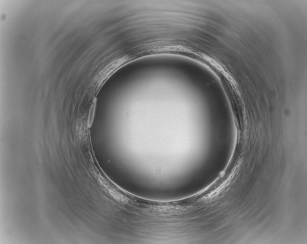 X0000060760897200511141228