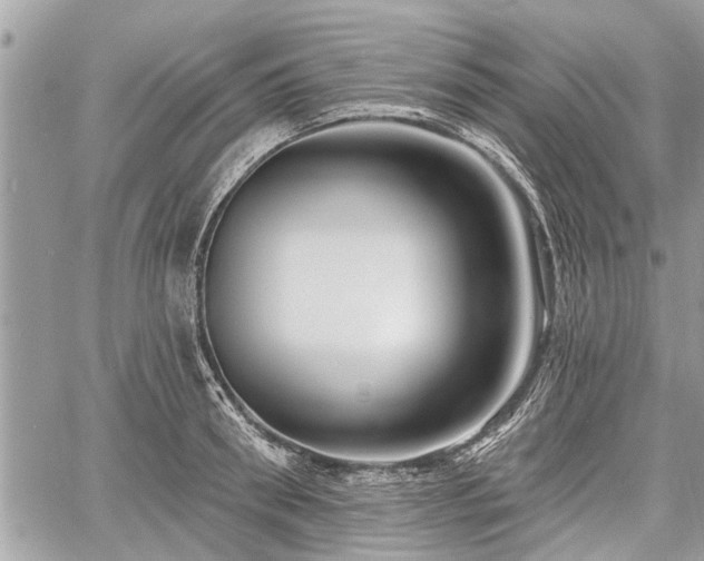 X0000060760898200511141228