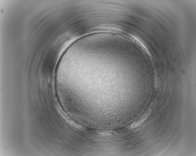 X0000060760899200511141228