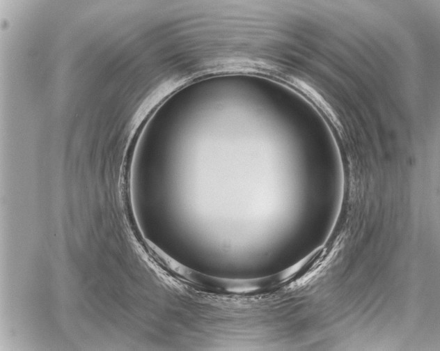 X0000060760901200511141228