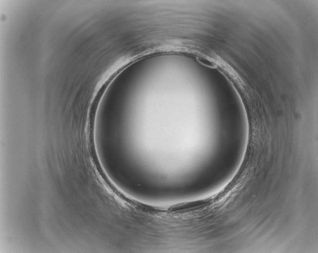 X0000060760902200511141228