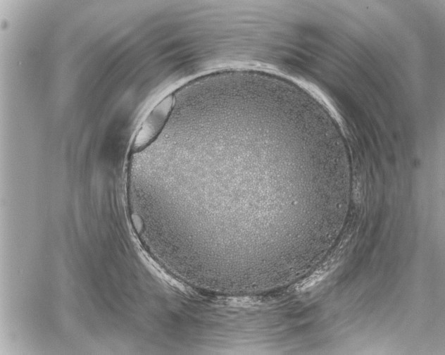 X0000060760903200511141228