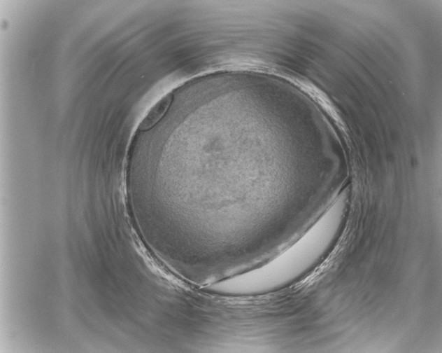 X0000060760904200511141228