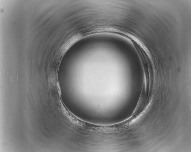 X0000060760905200511141228