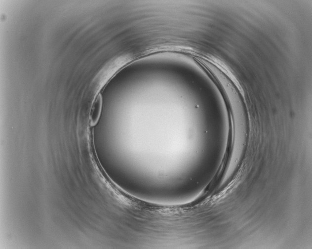 X0000060760906200511141228