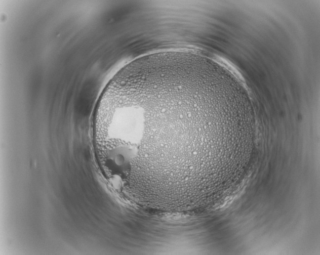 X0000060760907200511141228