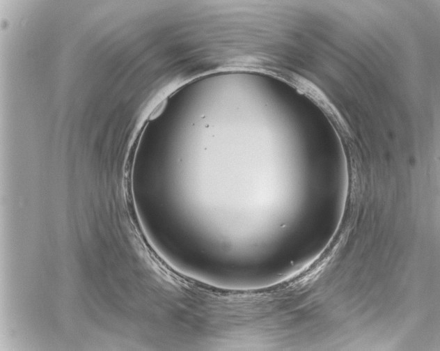 X0000060760908200511141228