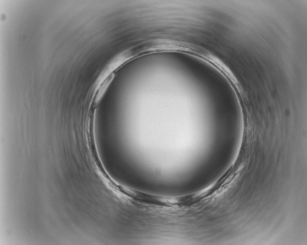 X0000060760909200511141228