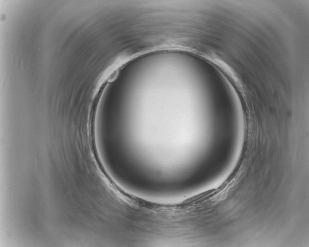 X0000060760910200511141228