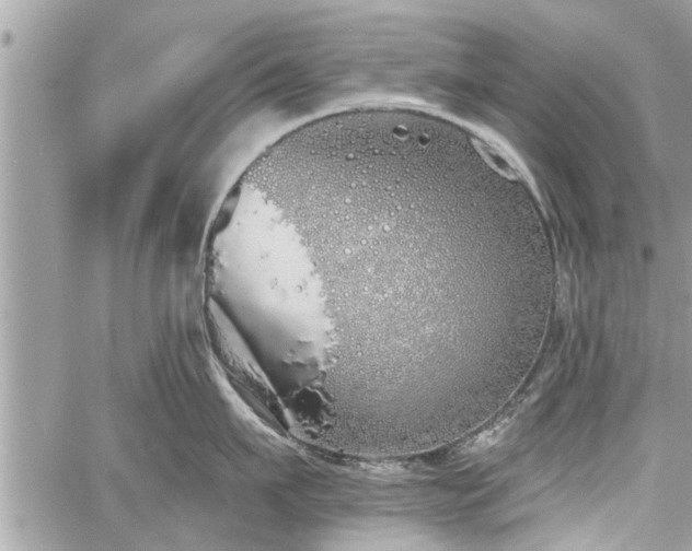 X0000060760911200511141228