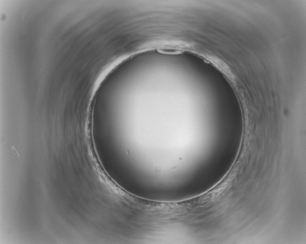 X0000060760912200511141228