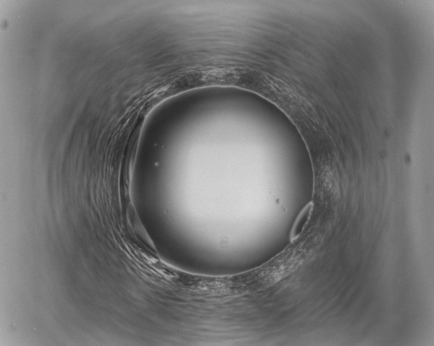 X0000060760914200511141227