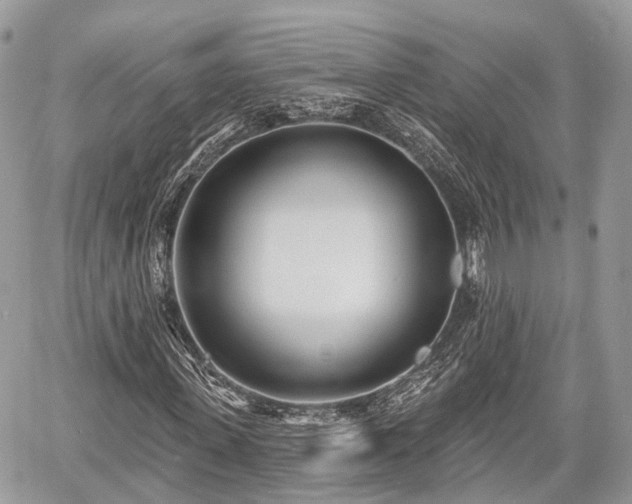 X0000060760915200511141227