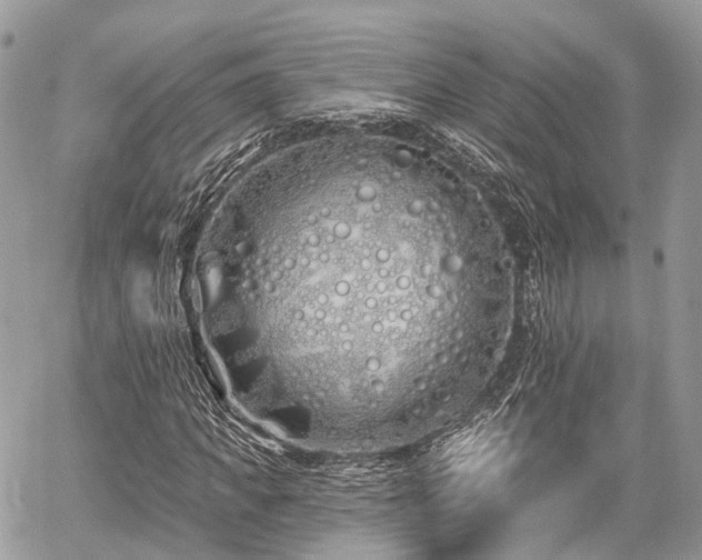 X0000060760917200511141227