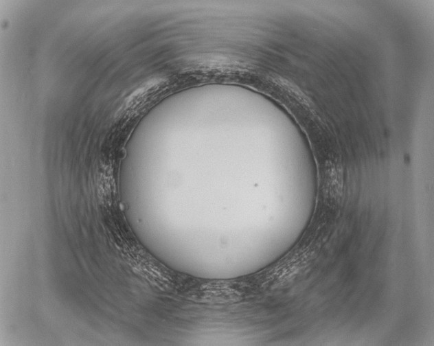 X0000060760918200511141227