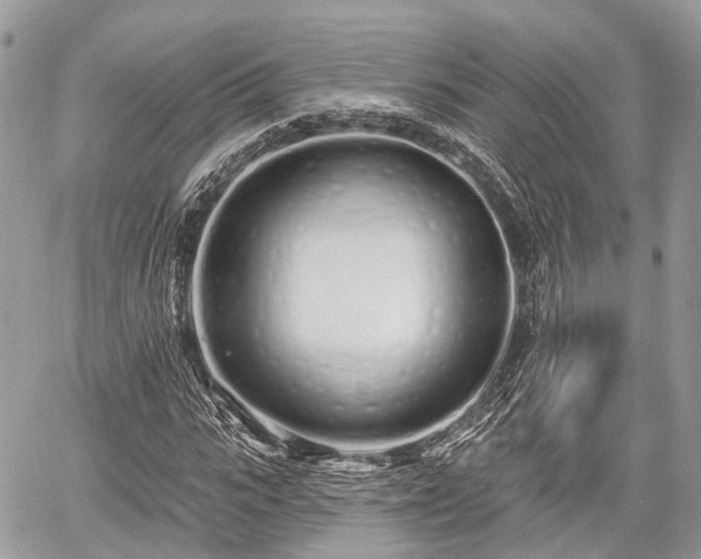 X0000060760919200511141227