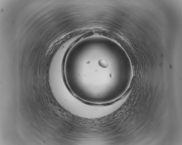 X0000060760920200511141227