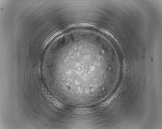 X0000060760921200511141227