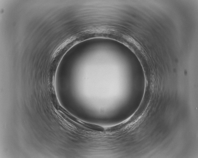 X0000060760922200511141227