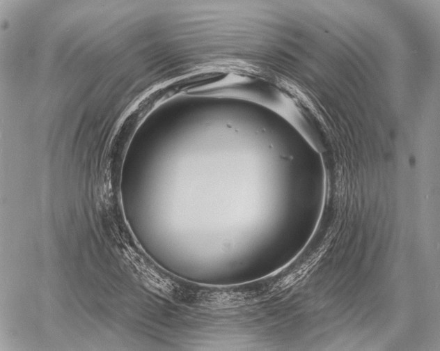 X0000060760923200511141227