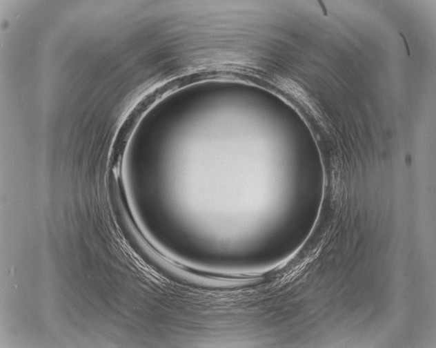 X0000060760924200511141227