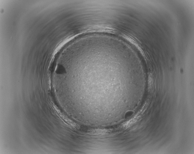 X0000060760925200511141227