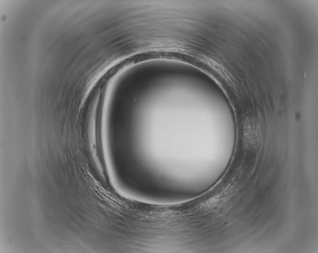 X0000060760926200511141227