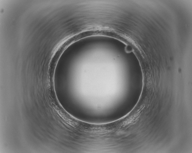 X0000060760927200511141227