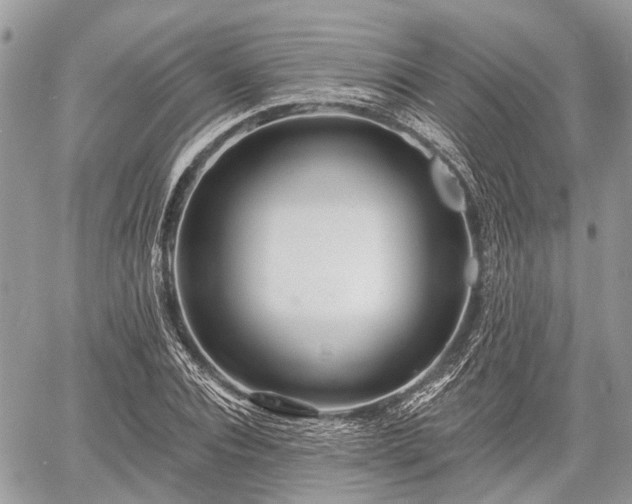 X0000060760928200511141227