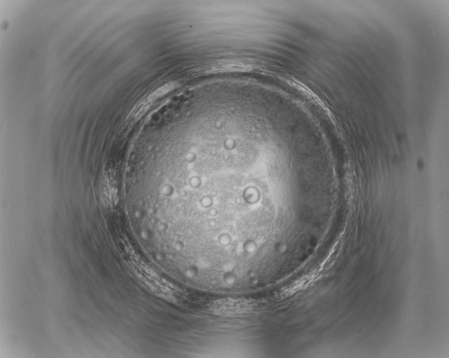 X0000060760929200511141227