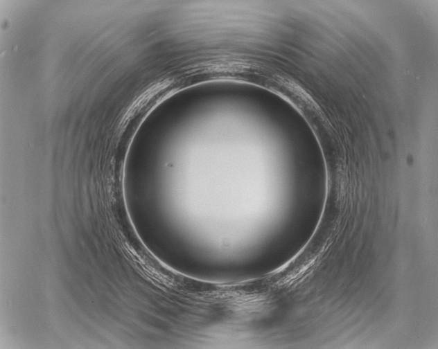 X0000060760930200511141227