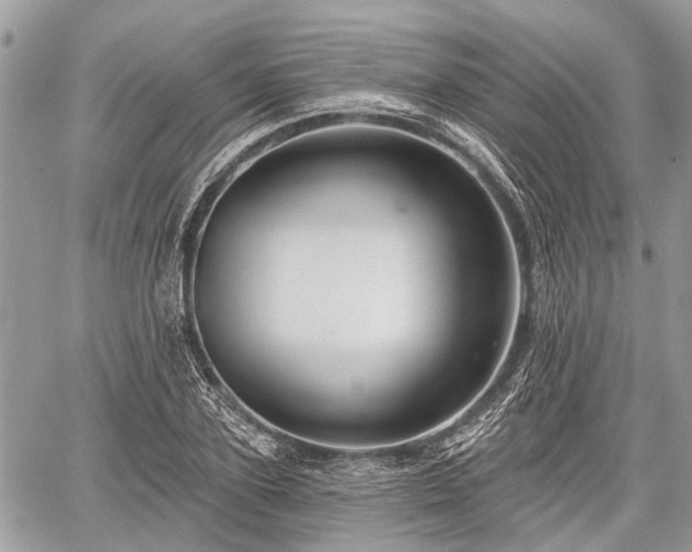 X0000060760931200511141227