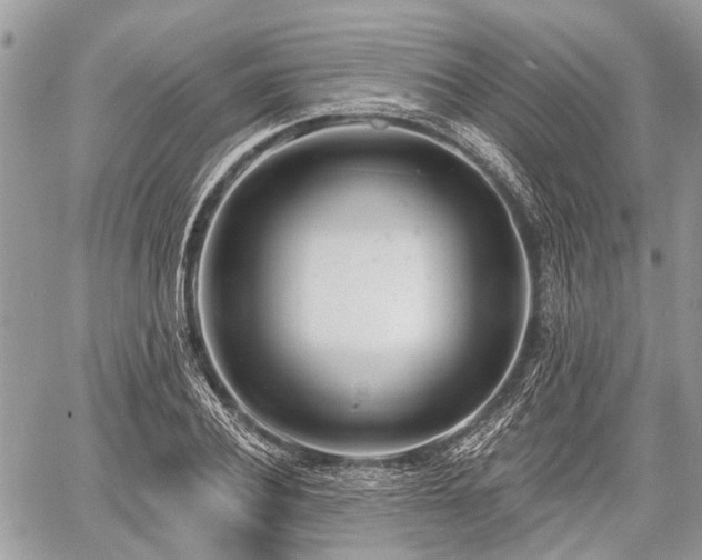 X0000060760932200511141227