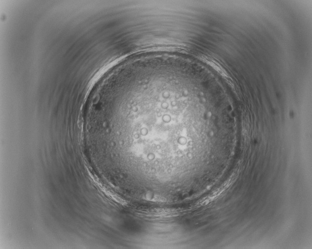 X0000060760933200511141227